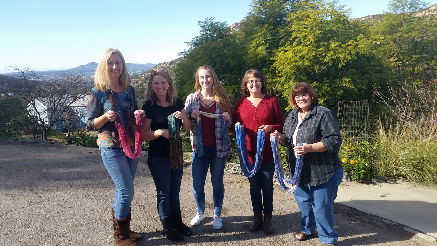 Yarn Dyeing Class Plus Tour