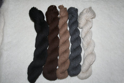 Yarn-100% Natural Medium