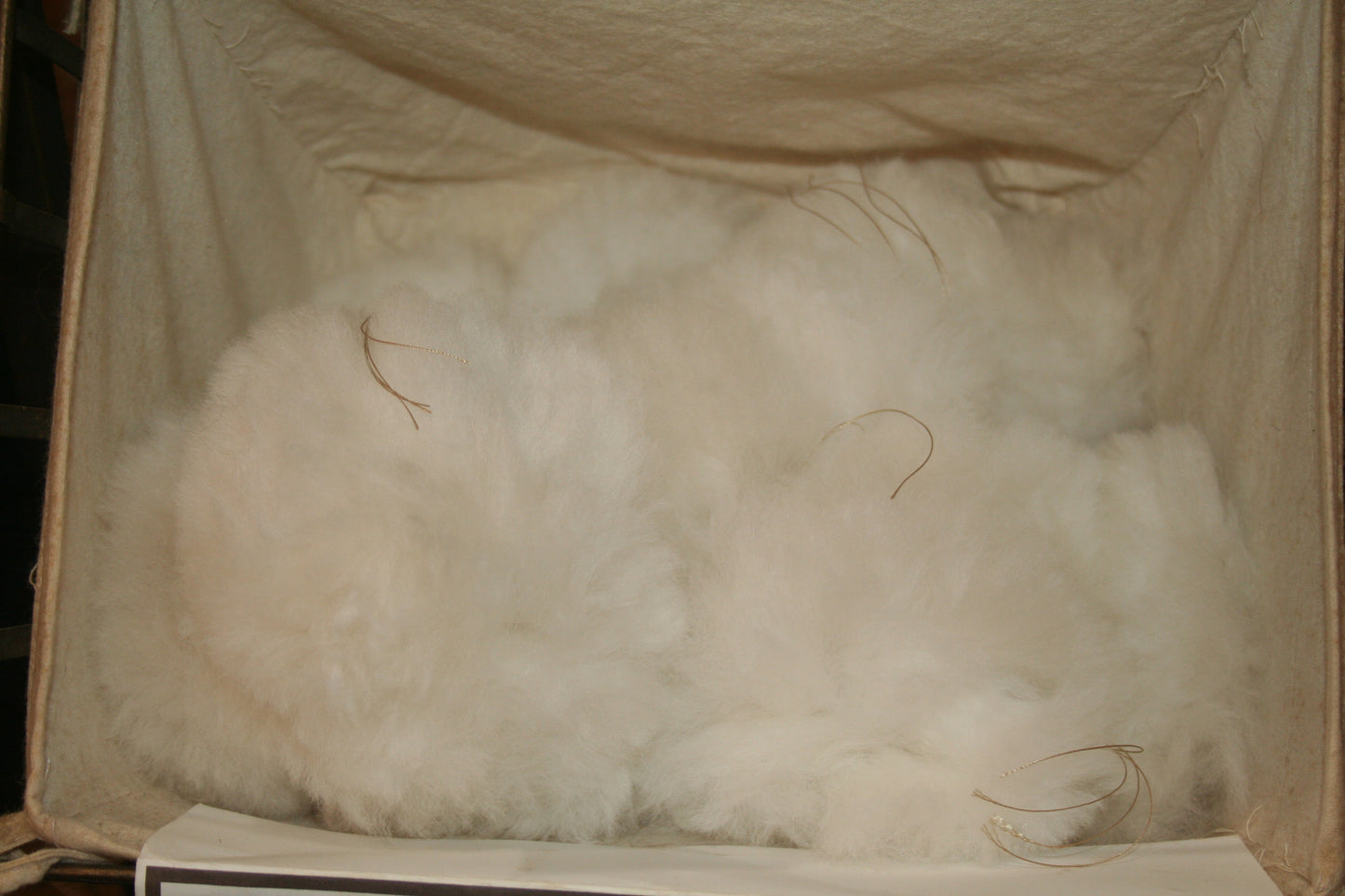 * We Love Alpacas! Donation (Please select both a Level and the item not crossed out, to see the contribution and then complete your donation)